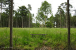 Natuurbegraafplaats Christinalust